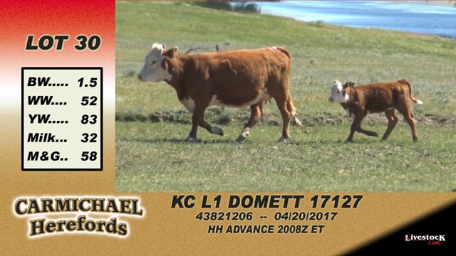 Lot #30 - KC L1 Domett 17127