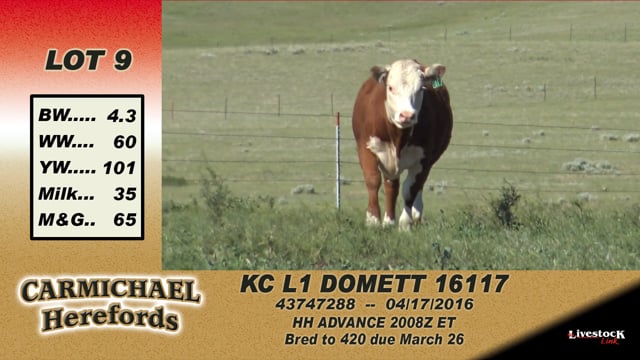 Lot #9 - KC L1 Domett 16117