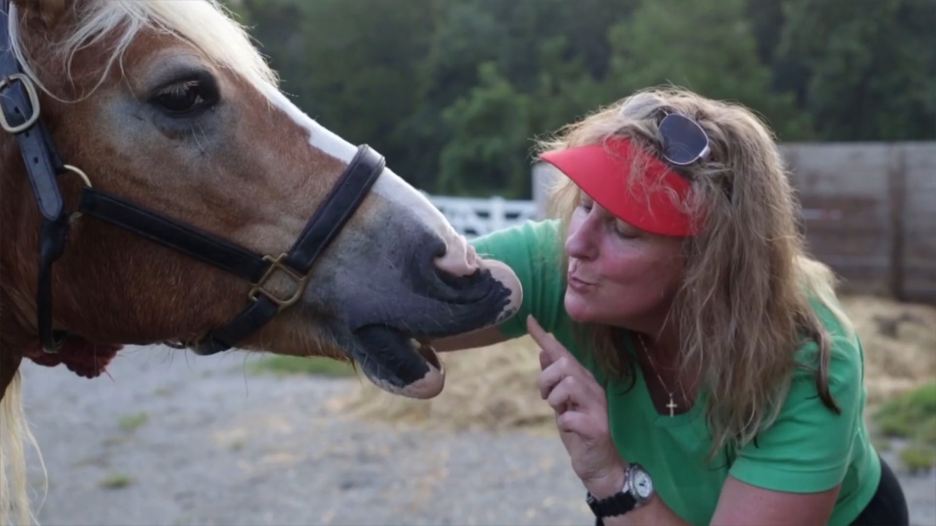 Reins of Life