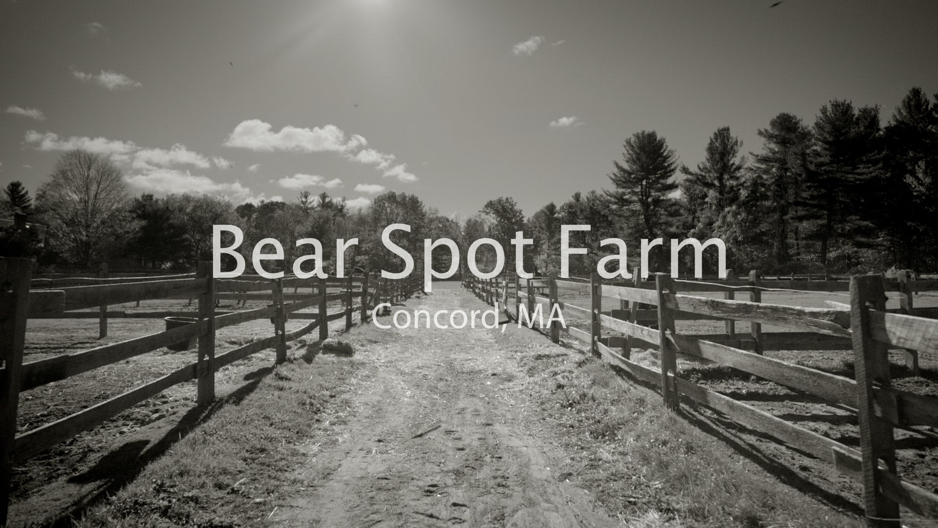 Bear Spot Farm