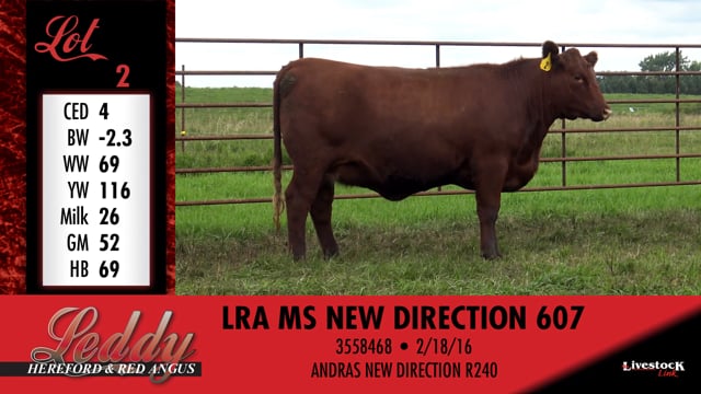 Lot #2 - LRA MS NEW DIRECTION 607