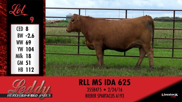 Lot #9 - RLL MS IDA 625