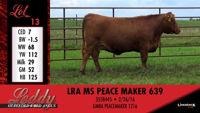Lot #13 - LRA MS PEACE MAKER 639