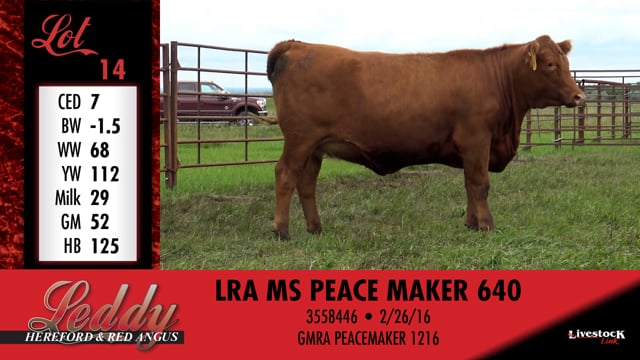 Lot #14 - LRA MS PEACE MAKER 640