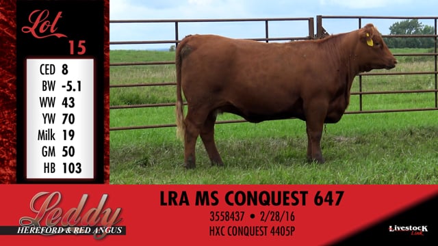 Lot #15 - LRA MS CONQUEST 647