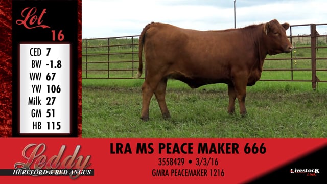 Lot #16 - LRA MS PEACE MAKER 666
