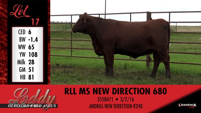 Lot #17 - RLL MS NEW DIRECTION 680