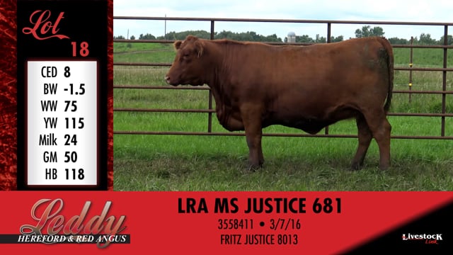 Lot #18 - LRA MS JUSTICE 681