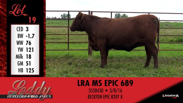 Lot #19 - LRA MS EPIC 689