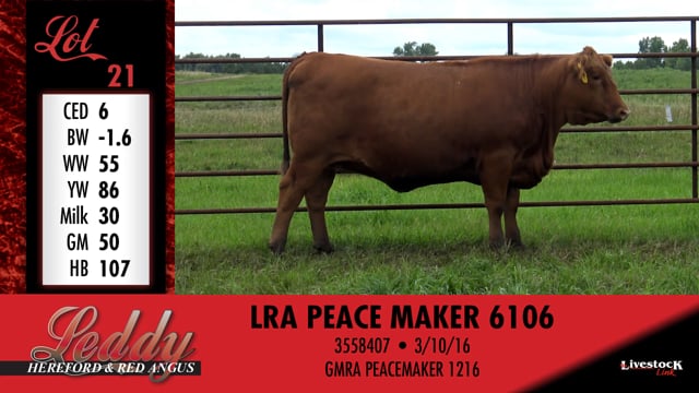 Lot #21 - LRA PEACE MAKER 6106