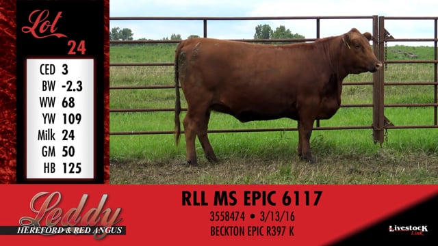 Lot #24 - RLL MS EPIC 6117