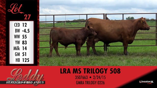 Lot #27 - LRA MS TRILOGY 508