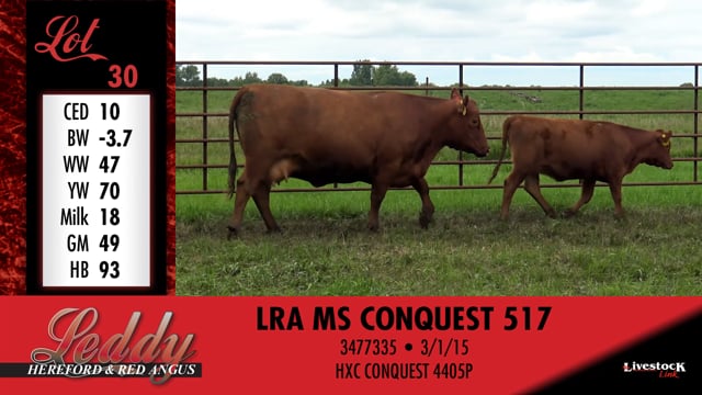 Lot #30 - LRA MS CONQUEST 517
