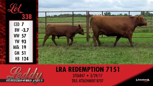 Lot #33 - LRA MS EPIC 522