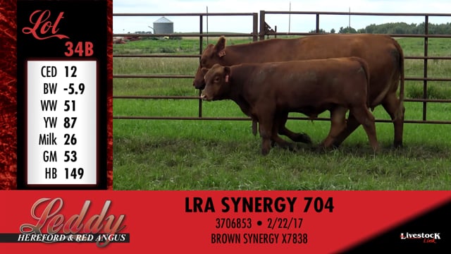 Lot #34 - LRA MS CONQUEST 523