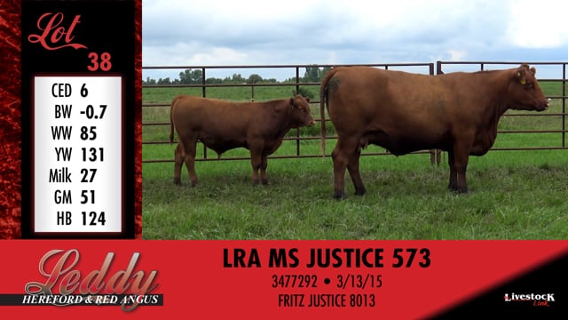 Lot #38 - LRA MS JUSTICE 573
