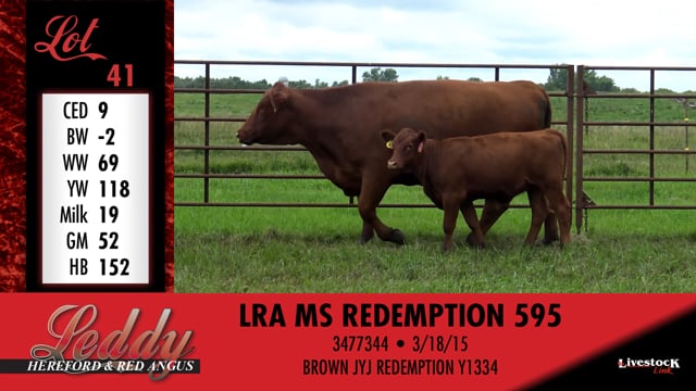 Lot #41 - LRA MS REDEMPTION 595
