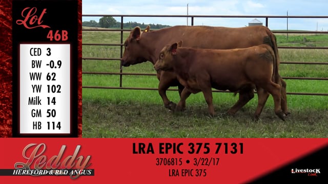 Lot #46 - LRA MS TRILOGY 407