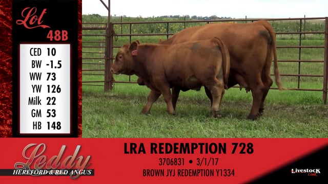 Lot #48 - LRA MS GOLD RUSH 412