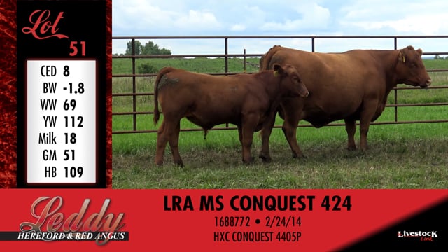 Lot #51 - LRA MS CONQUEST 424