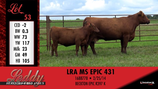Lot #53 - LRA MS EPIC 431