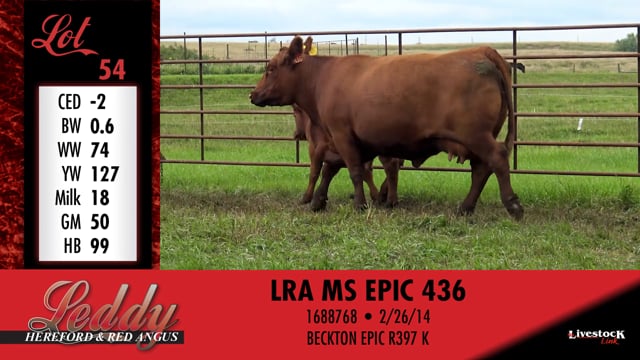 Lot #54 - LRA MS EPIC 436