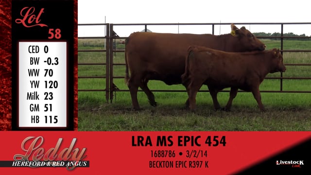 Lot #58 - LRA MS EPIC 454