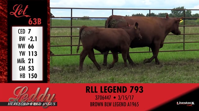 Lot #63 - RLL MS ARLYS 481