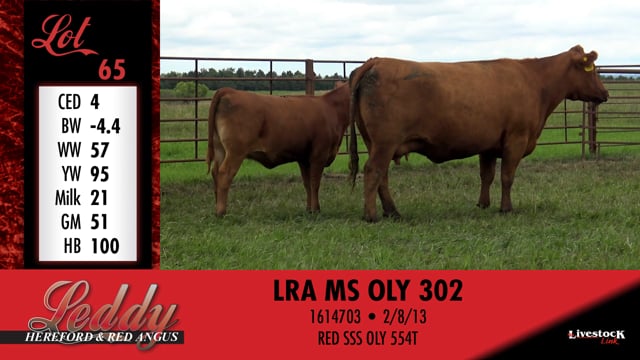 Lot #65 - LRA MS OLY 302