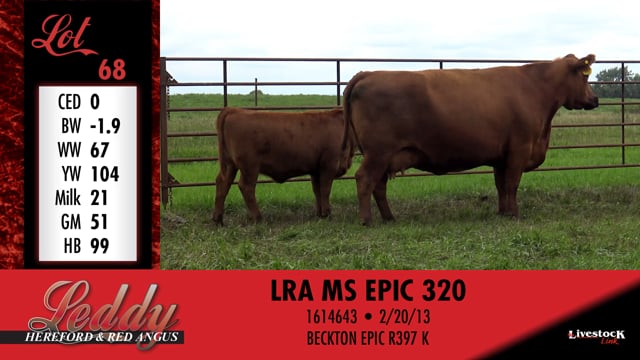 Lot #68 - LRA MS EPIC 320