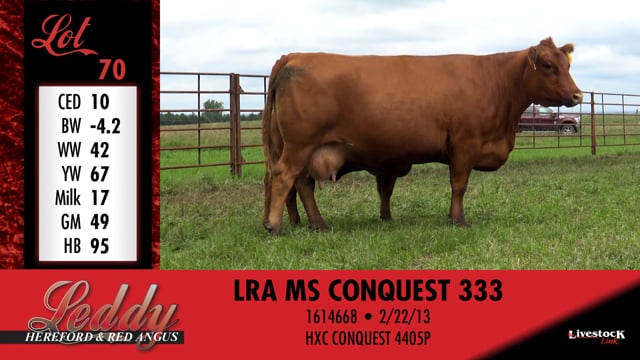 Lot #70 - LRA MS CONQUEST 333