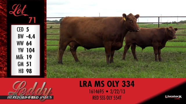 Lot #71 - LRA MS OLY 334