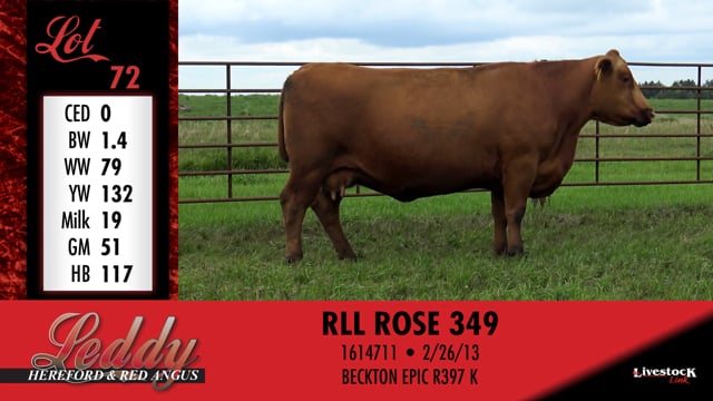 Lot #72B - 72B