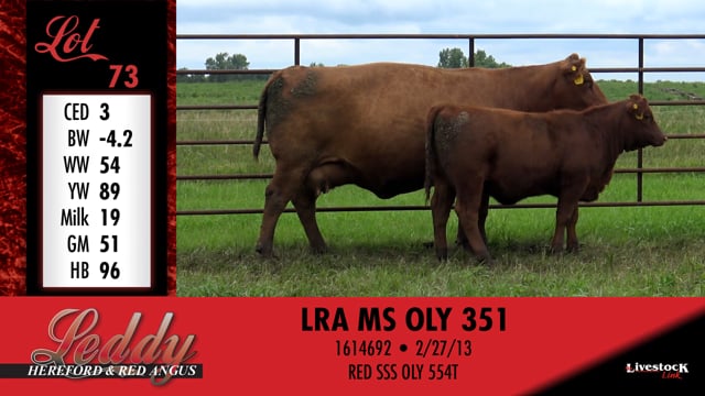 Lot #73 - LRA MS OLY 351