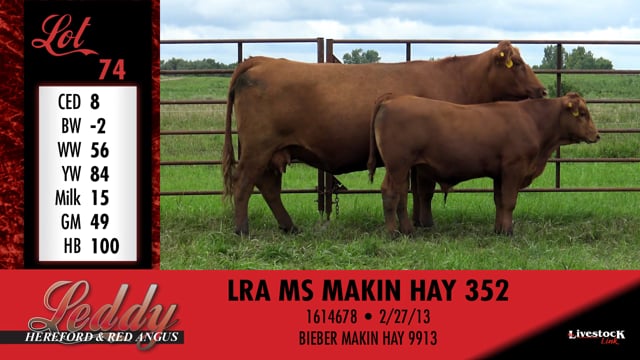 Lot #74 - LRA MS MAKIN HAY 352
