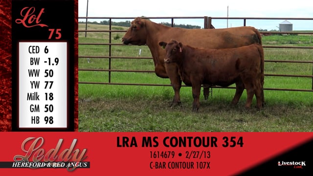 Lot #75 - LRA MS CONTOUR 354