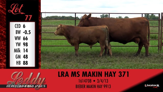 Lot #77B - LRA PROFIT BUILDER 796