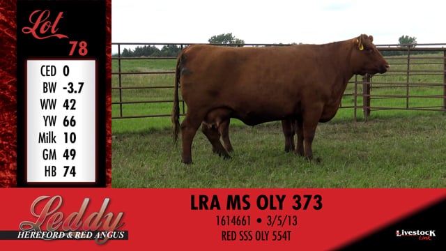 Lot #78 - LRA MS OLY 373