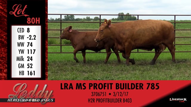 Lot #80 - LRA MS PACKER 205