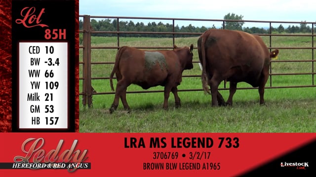 Lot #85 - LRA MS CONQUEST 226