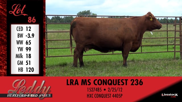 Lot #86H - LRA MS EPIC 375 7138