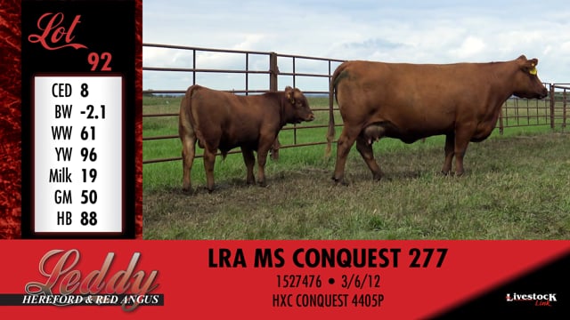 Lot #92 - LRA MS CONQUEST 277