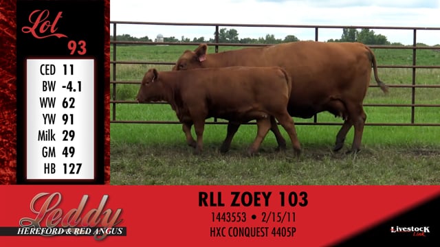 Lot #93 - RLL ZOEY 103