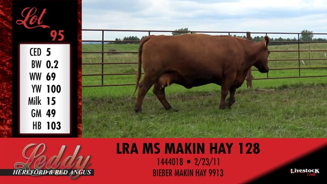 Lot #95 - LRA MS MAKIN HAY 128