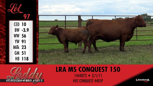 Lot #97 - LRA MS CONQUEST 150
