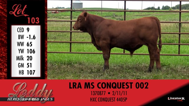 Lot #103 - LRA MS CONQUEST 002
