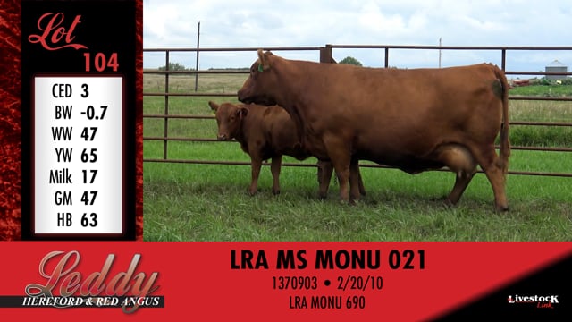 Lot #104 - LRA MS MONU 021