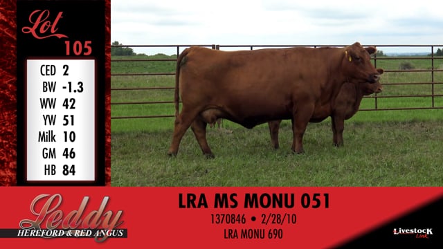 Lot #105 - LRA MS MONU 051