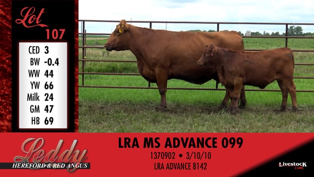 Lot #107 - LRA MS ADVANCE 099
