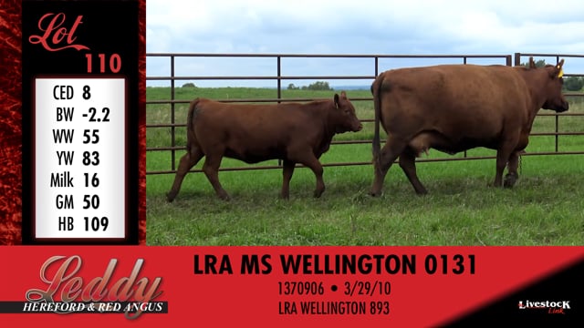 Lot #110 - LRA MS WELLINGTON 0131